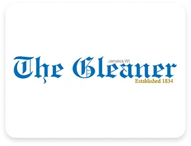 The Bleaner